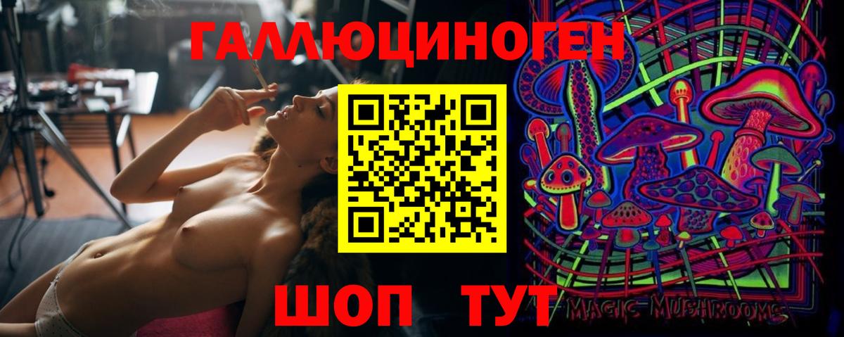 Псилоцибиновые грибы Psilocybine cubensis Миасс